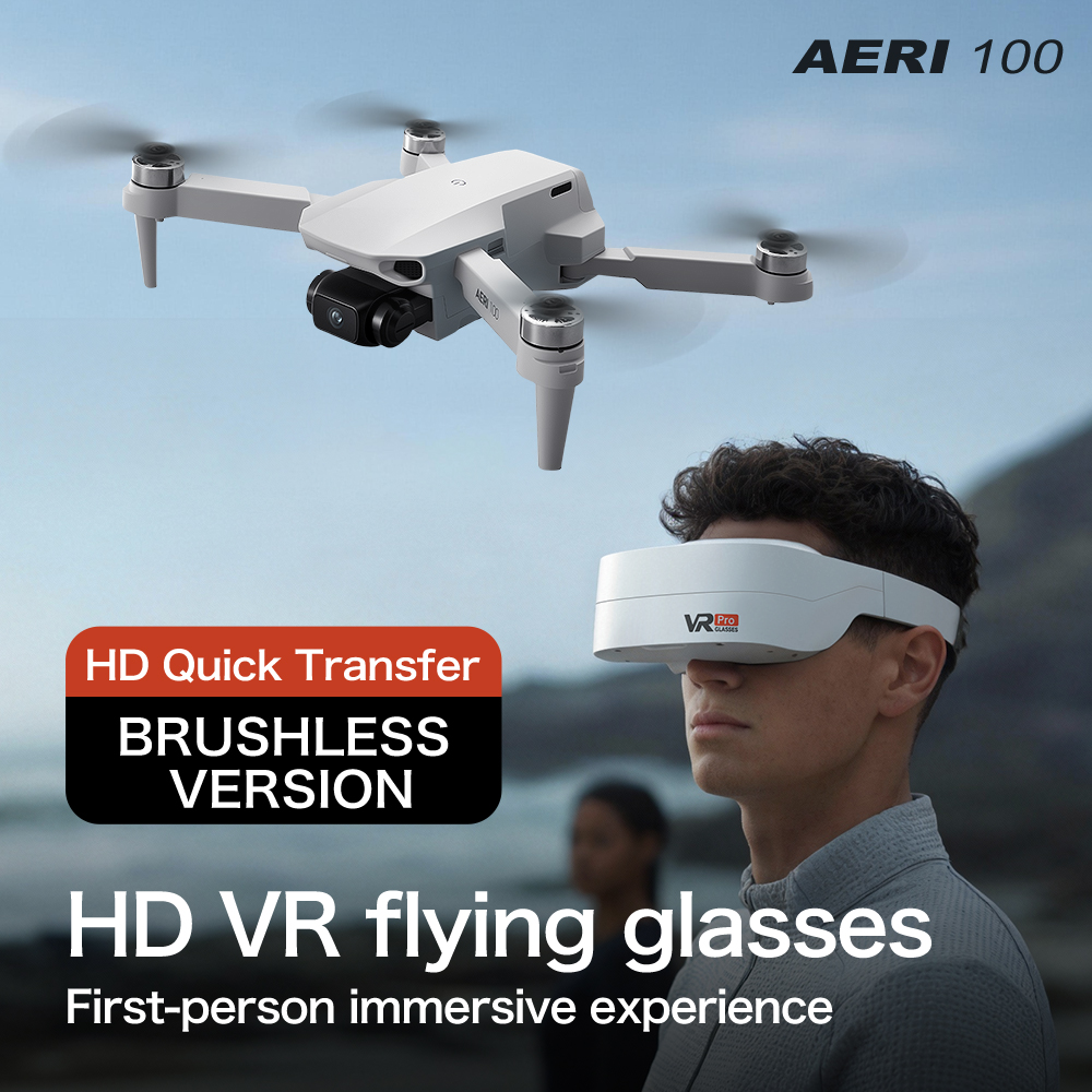 AERI100 VR Version Monitor Dro - Esc 4In1 Brushless 评论和价格