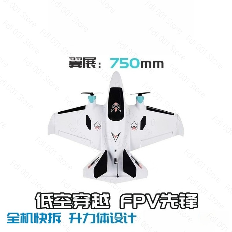 Dual Motor FPV Fixed Wing RC A - Rc Airplane Drone 评论和价格